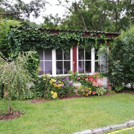 Ferienhaeuschen Gruber Villa Loosdorf Exterior foto
