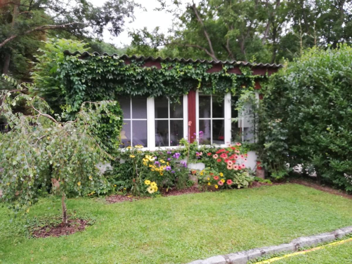 Ferienhaeuschen Gruber Villa Loosdorf Exterior foto